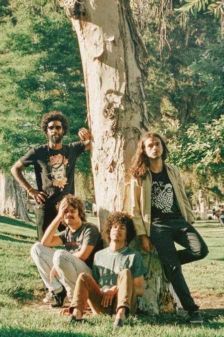 Boogarins